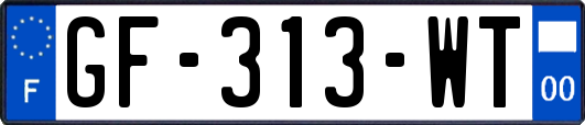 GF-313-WT