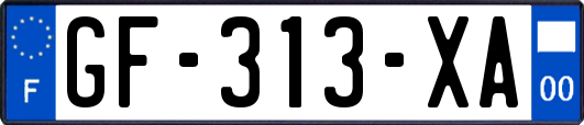 GF-313-XA