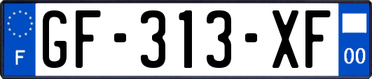 GF-313-XF