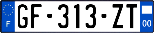 GF-313-ZT