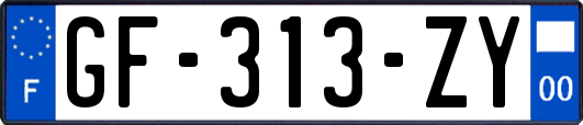 GF-313-ZY