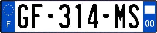 GF-314-MS