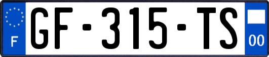 GF-315-TS