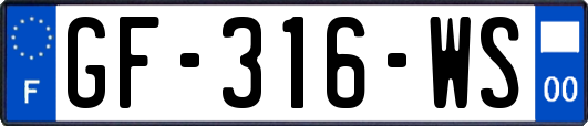 GF-316-WS