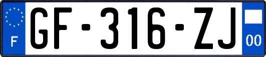 GF-316-ZJ