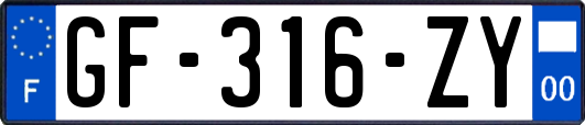 GF-316-ZY