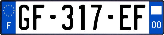 GF-317-EF