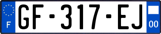 GF-317-EJ