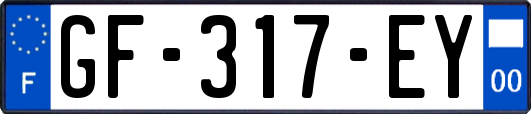 GF-317-EY