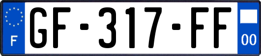 GF-317-FF