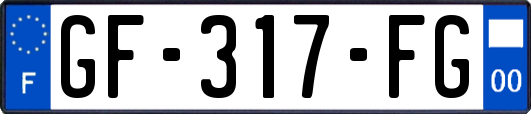 GF-317-FG