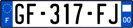 GF-317-FJ