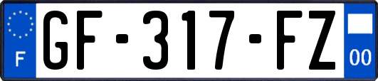GF-317-FZ