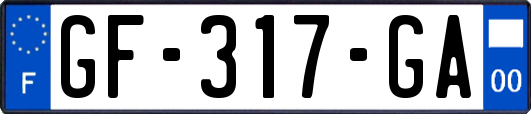 GF-317-GA