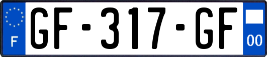GF-317-GF