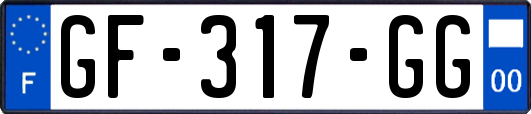 GF-317-GG