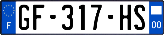 GF-317-HS