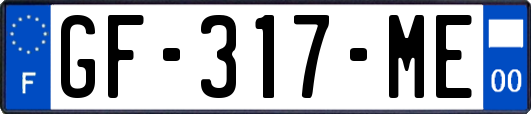 GF-317-ME