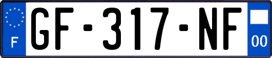 GF-317-NF