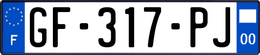 GF-317-PJ