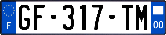 GF-317-TM