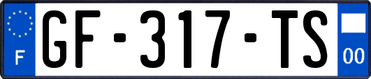 GF-317-TS