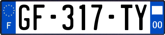 GF-317-TY