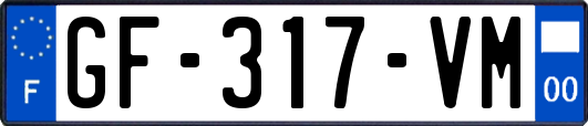 GF-317-VM