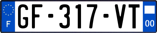 GF-317-VT
