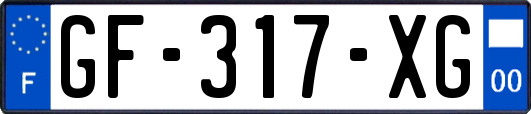 GF-317-XG