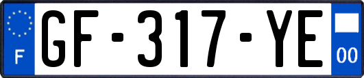 GF-317-YE