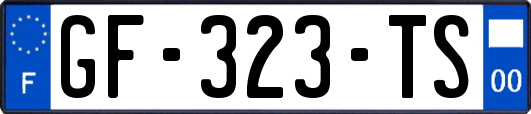 GF-323-TS