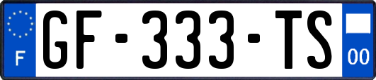 GF-333-TS