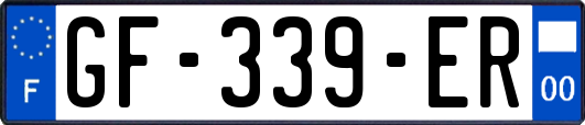 GF-339-ER