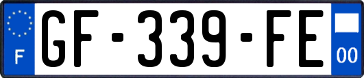 GF-339-FE
