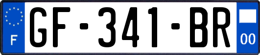 GF-341-BR