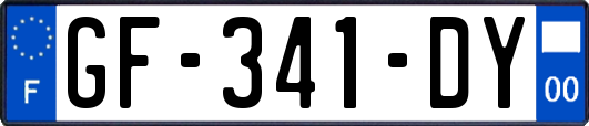 GF-341-DY