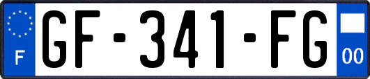 GF-341-FG