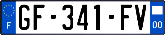 GF-341-FV
