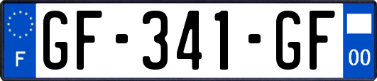 GF-341-GF