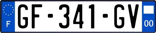 GF-341-GV