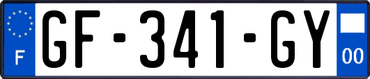 GF-341-GY