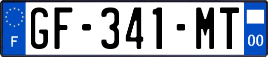 GF-341-MT