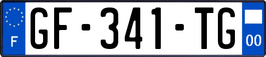 GF-341-TG