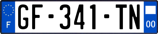 GF-341-TN