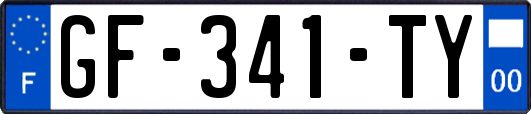 GF-341-TY