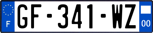 GF-341-WZ