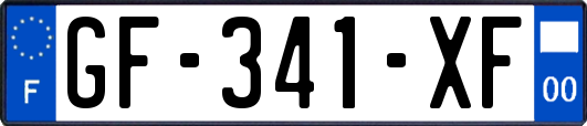 GF-341-XF