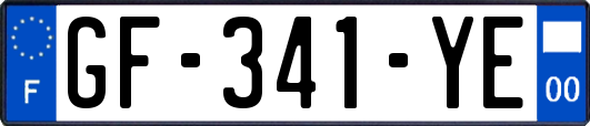 GF-341-YE