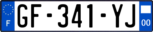 GF-341-YJ